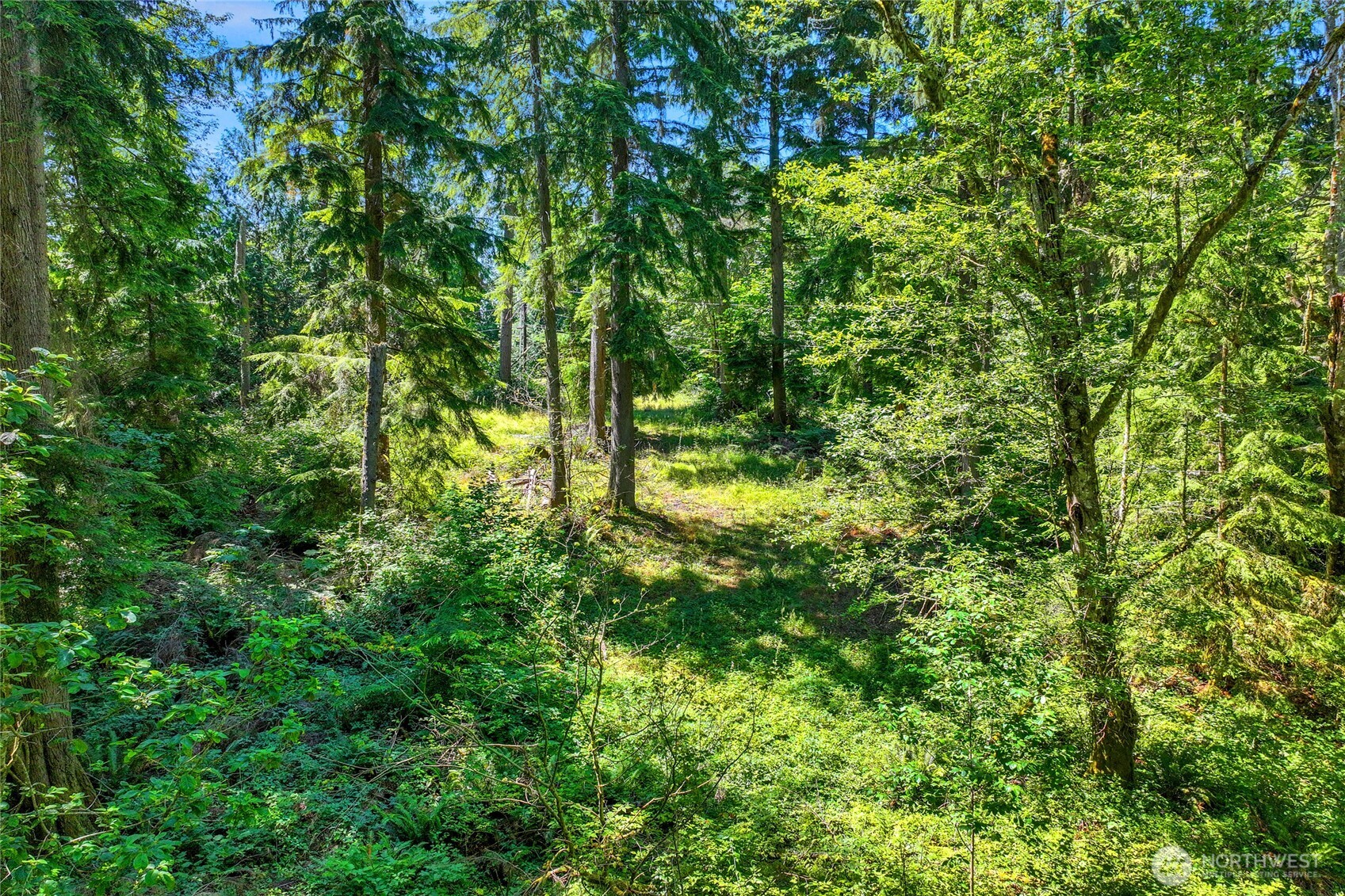 189 xx 209th Avenue SE, Monroe, WA 98272