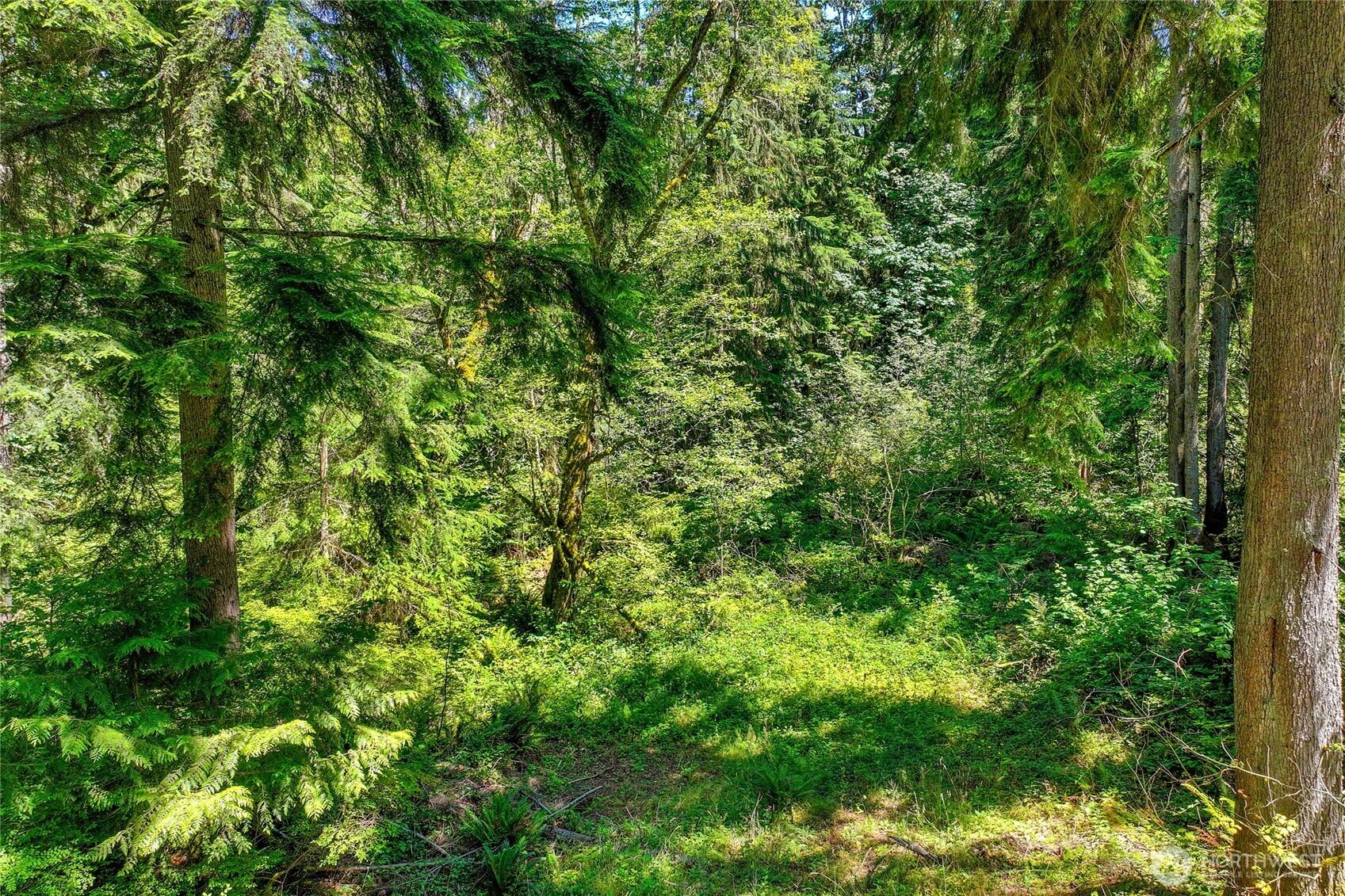 189 xx 209th Avenue SE, Monroe, WA 98272