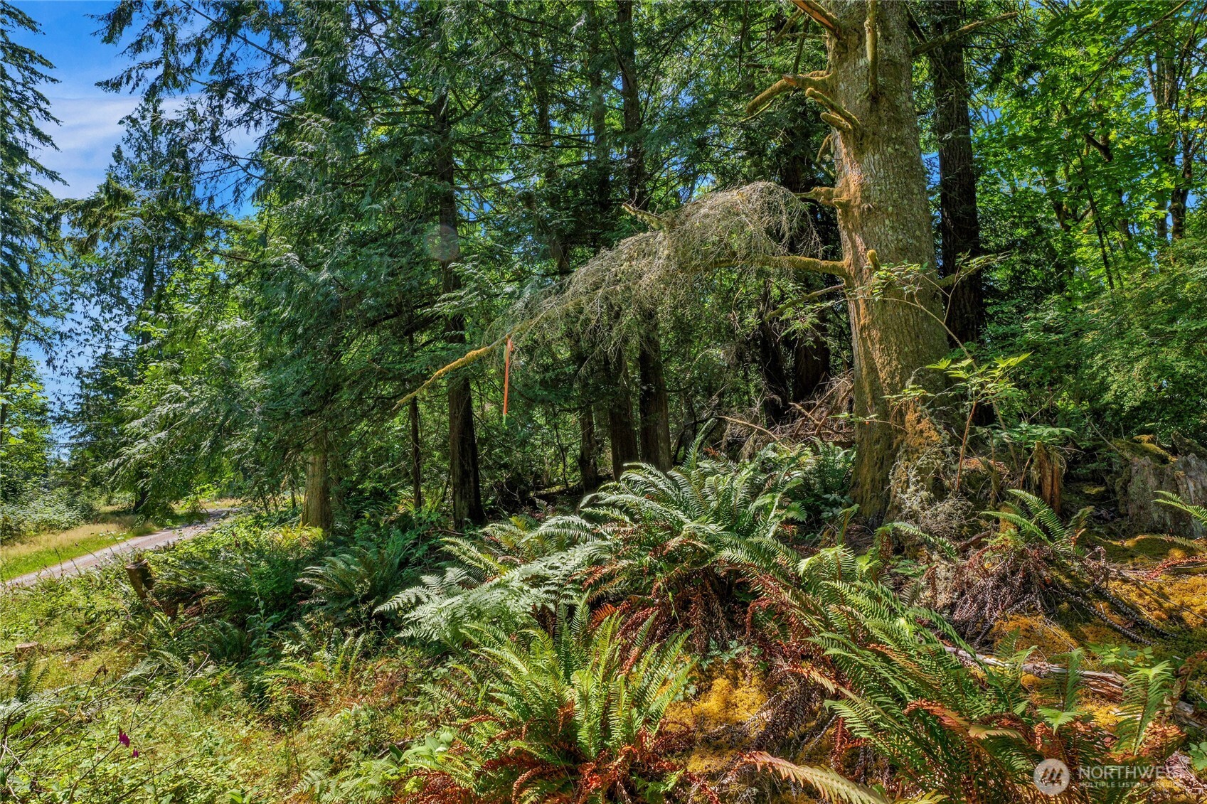 189 xx 209th Avenue SE, Monroe, WA 98272