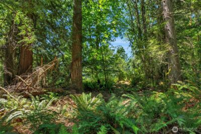 189 xx 209th Avenue SE, Monroe, WA 98272 - Photo 38