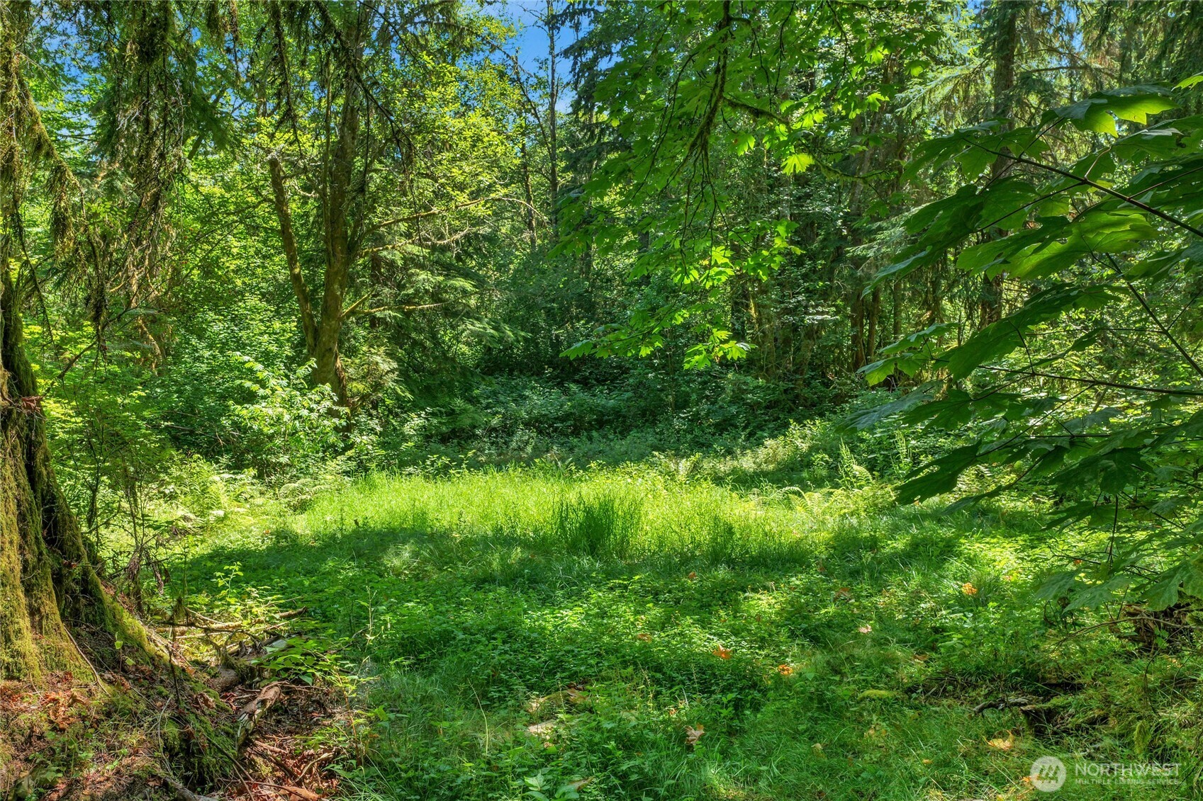 189 xx 209th Avenue SE, Monroe, WA 98272