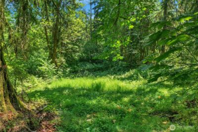 189 xx 209th Avenue SE, Monroe, WA 98272 - Photo 39