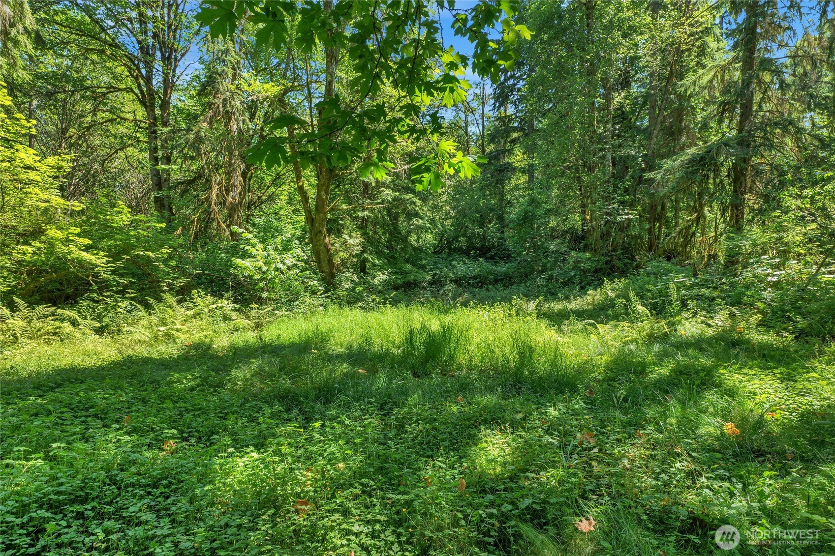 189 xx 209th Avenue SE, Monroe, WA 98272