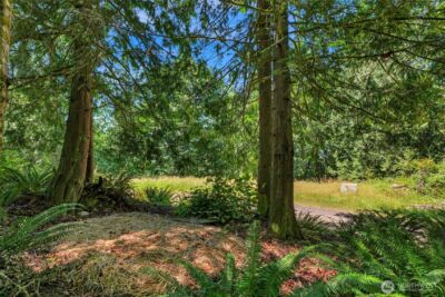 189 xx 209th Avenue SE, Monroe, WA 98272 - Photo 6