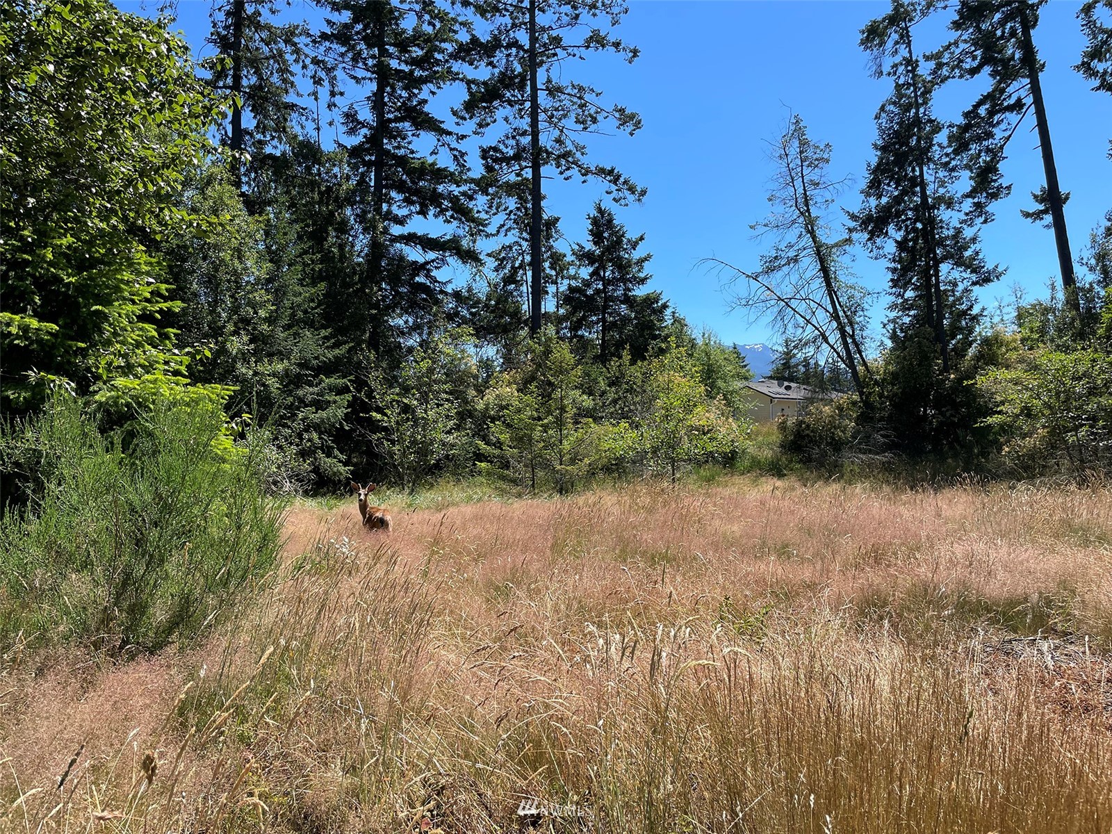 0 W 8th Street , Port Angeles, WA 98363