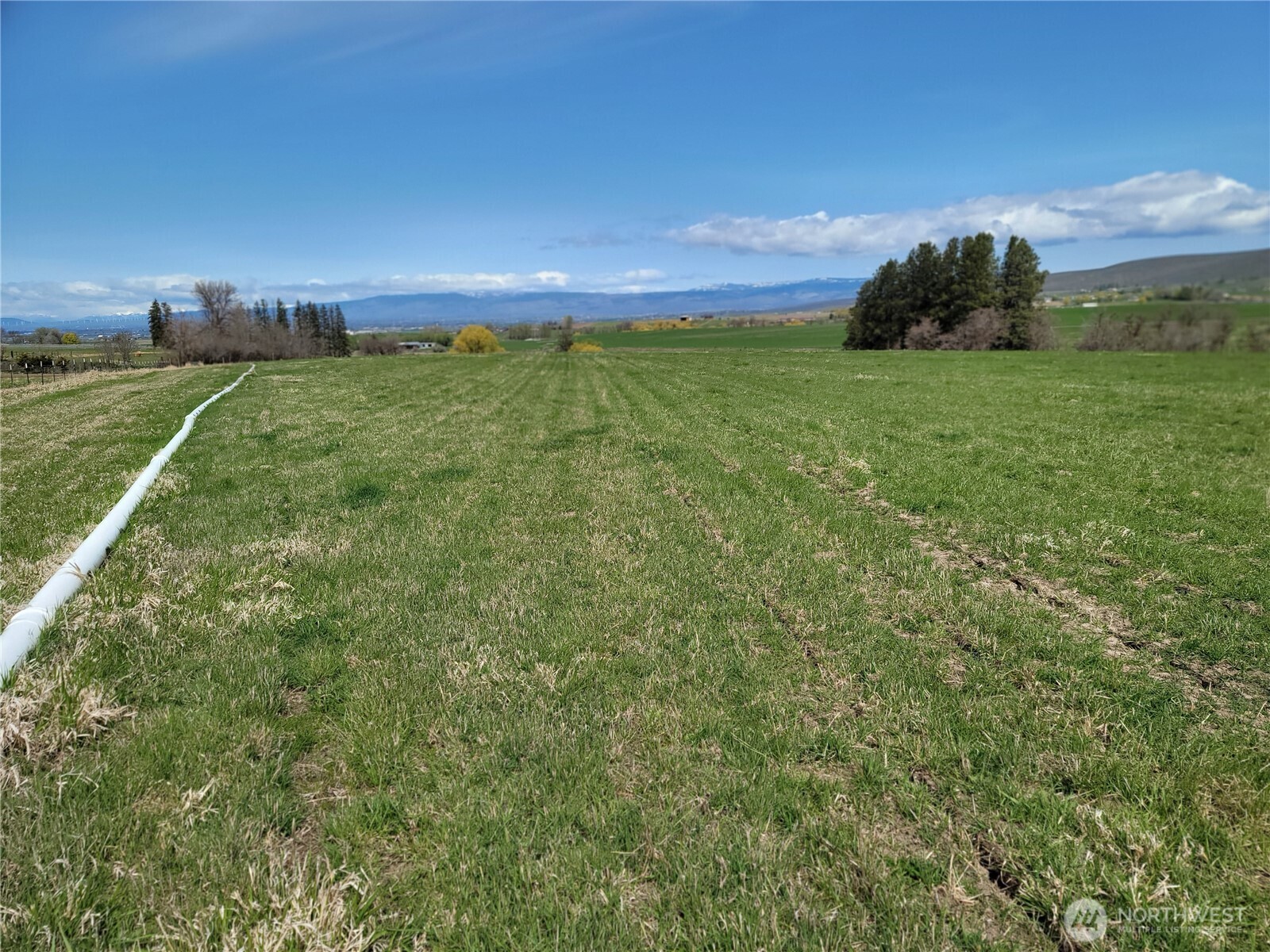 426 NKA Rolling Hill Drive , Ellensburg, WA 98926