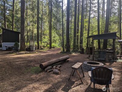 390 N Duckabush Drive W, Hoodsport, WA 98548 - Photo 11