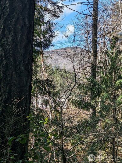 390 N Duckabush Drive W, Hoodsport, WA 98548 - Photo 12