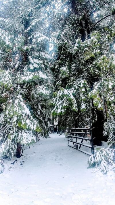 390 N Duckabush Drive W, Hoodsport, WA 98548 - Photo 13