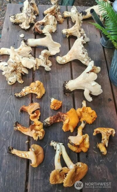 390 N Duckabush Drive W, Hoodsport, WA 98548 - Photo 14