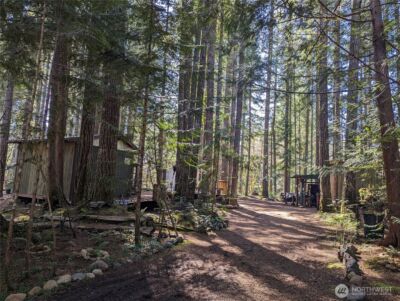 390 N Duckabush Drive W, Hoodsport, WA 98548 - Photo 3