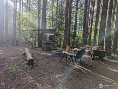 390 N Duckabush Drive W, Hoodsport, WA 98548 - Photo 8