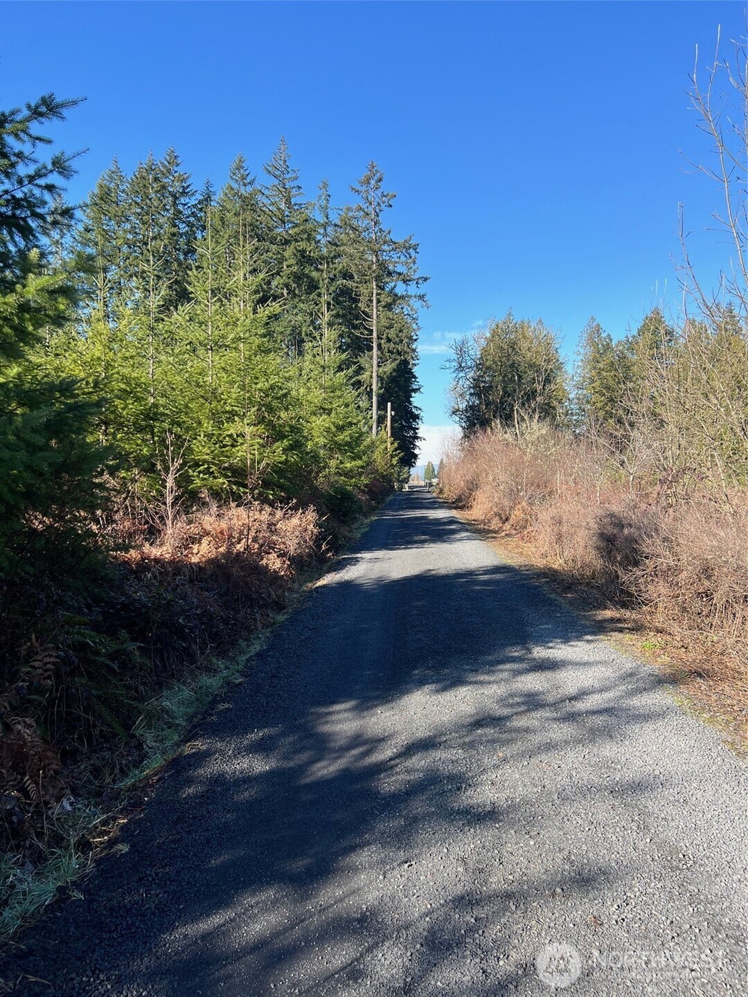 0 Winter Road , Winlock, WA 98596