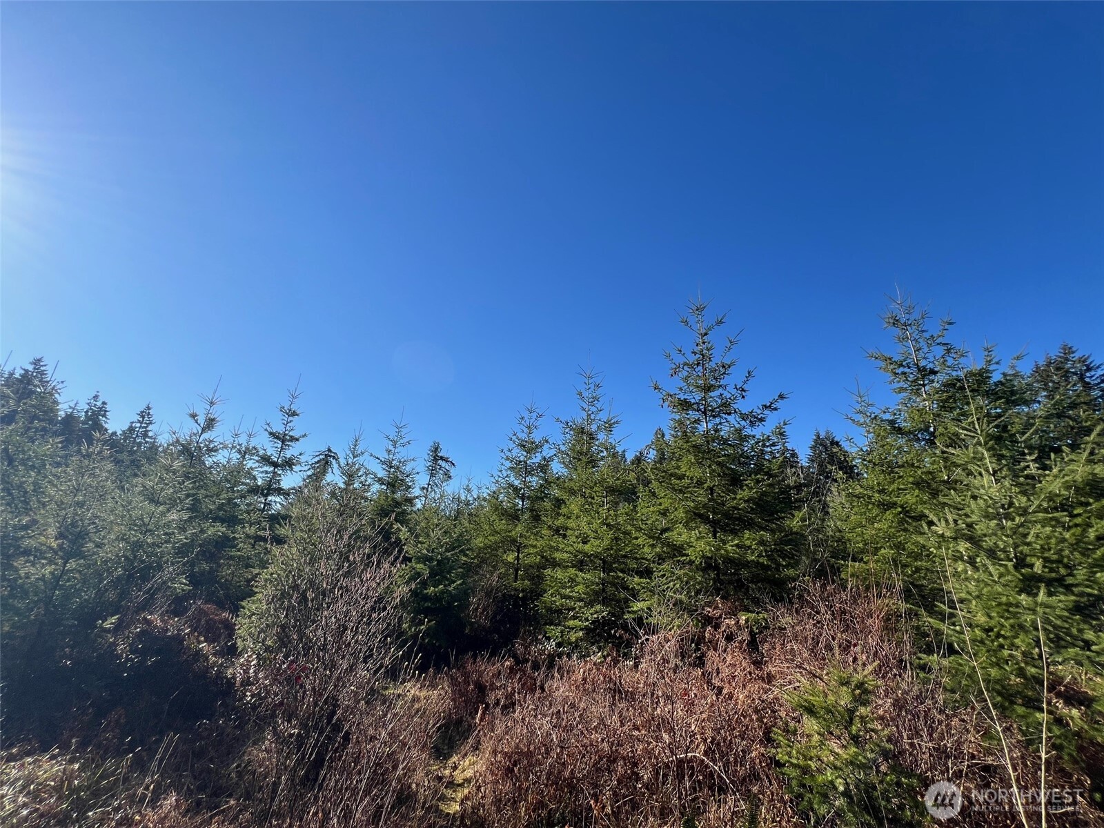 0 Winter Road , Winlock, WA 98596