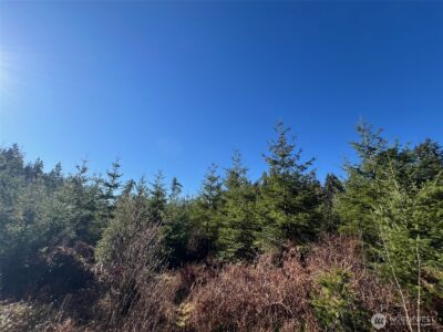 0 Winter Road , Winlock, WA 98596 - Photo 12