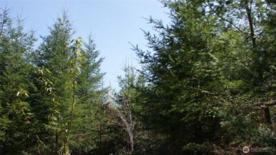 0 Winter Road , Winlock, WA 98596 - Photo 13