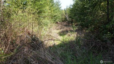0 Winter Road , Winlock, WA 98596 - Photo 15