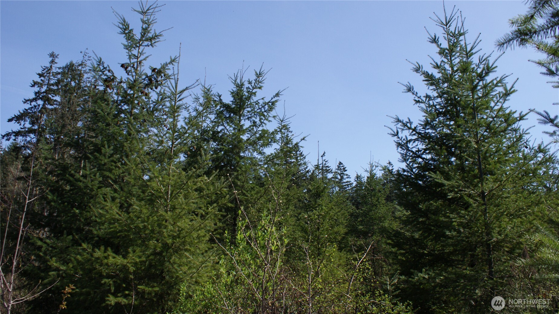 0 Winter Road , Winlock, WA 98596