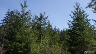 0 Winter Road , Winlock, WA 98596 - Photo 17