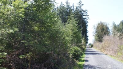 0 Winter Road , Winlock, WA 98596 - Photo 18