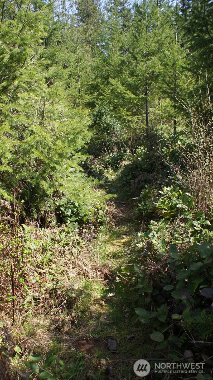 0 Winter Road , Winlock, WA 98596