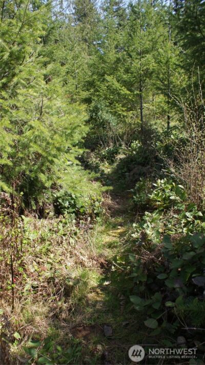 0 Winter Road , Winlock, WA 98596 - Photo 19