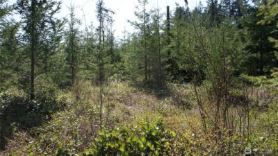 0 Winter Road , Winlock, WA 98596 - Photo 20