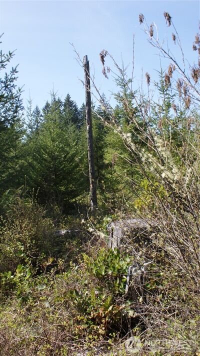 0 Winter Road , Winlock, WA 98596 - Photo 22