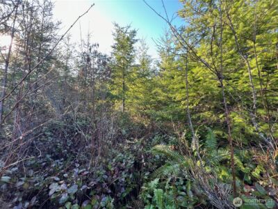 0 Winter Road , Winlock, WA 98596 - Photo 5