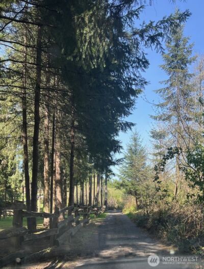 0 Winter Road , Winlock, WA 98596 - Photo 7