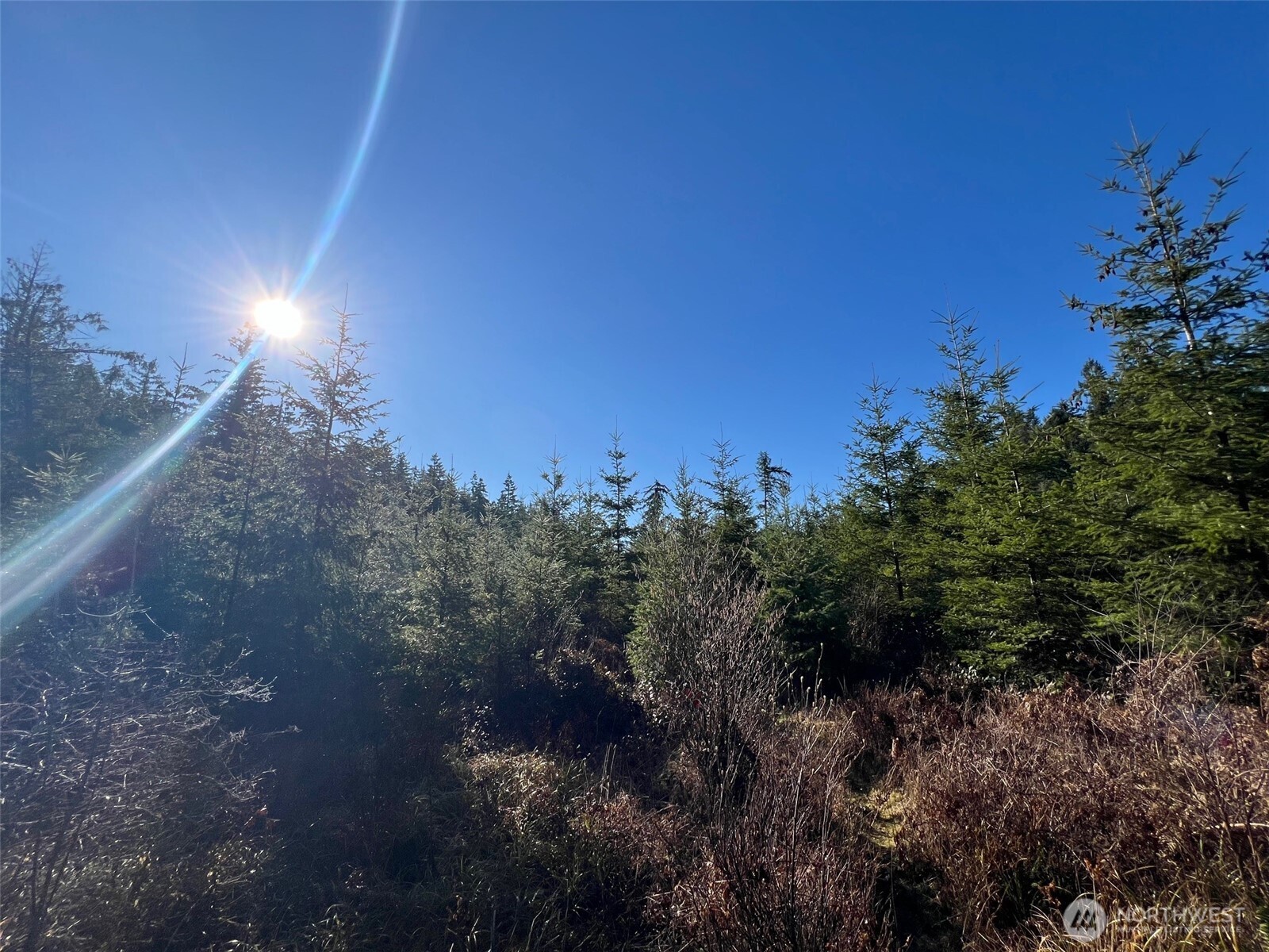 0 Winter Road , Winlock, WA 98596