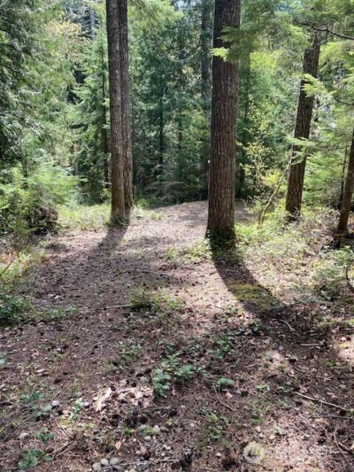 410 N Mount Seattle Way , Hoodsport, WA 98548 - Photo 1