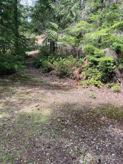 410 N Mount Seattle Way , Hoodsport, WA 98548 - Photo 2