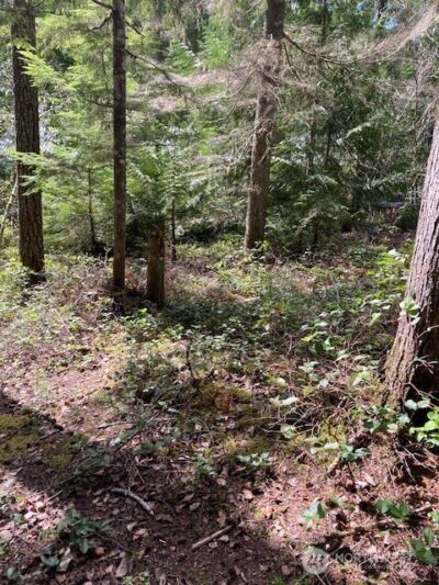 410 N Mount Seattle Way , Hoodsport, WA 98548 - Photo 3