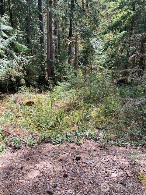 410 N Mount Seattle Way , Hoodsport, WA 98548