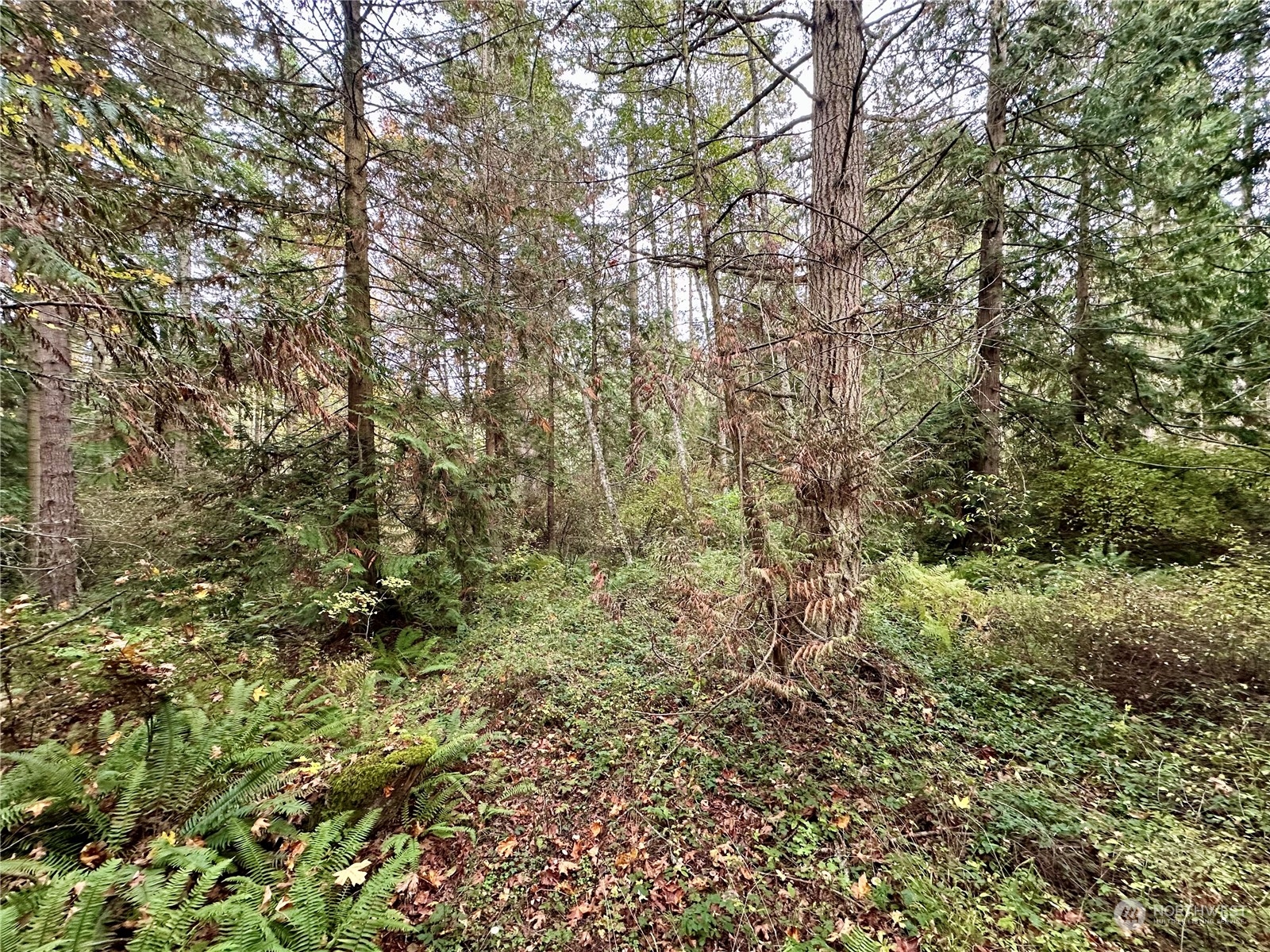 0 S Bagley Creek Road , Port Angeles, WA 98362