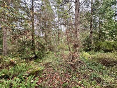 0 S Bagley Creek Road , Port Angeles, WA 98362 - Photo 16