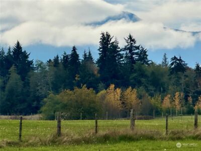 0 S Bagley Creek Road , Port Angeles, WA 98362 - Photo 5