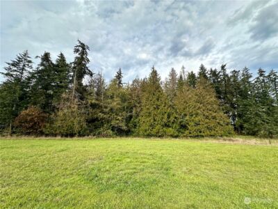 0 S Bagley Creek Road , Port Angeles, WA 98362 - Photo 9