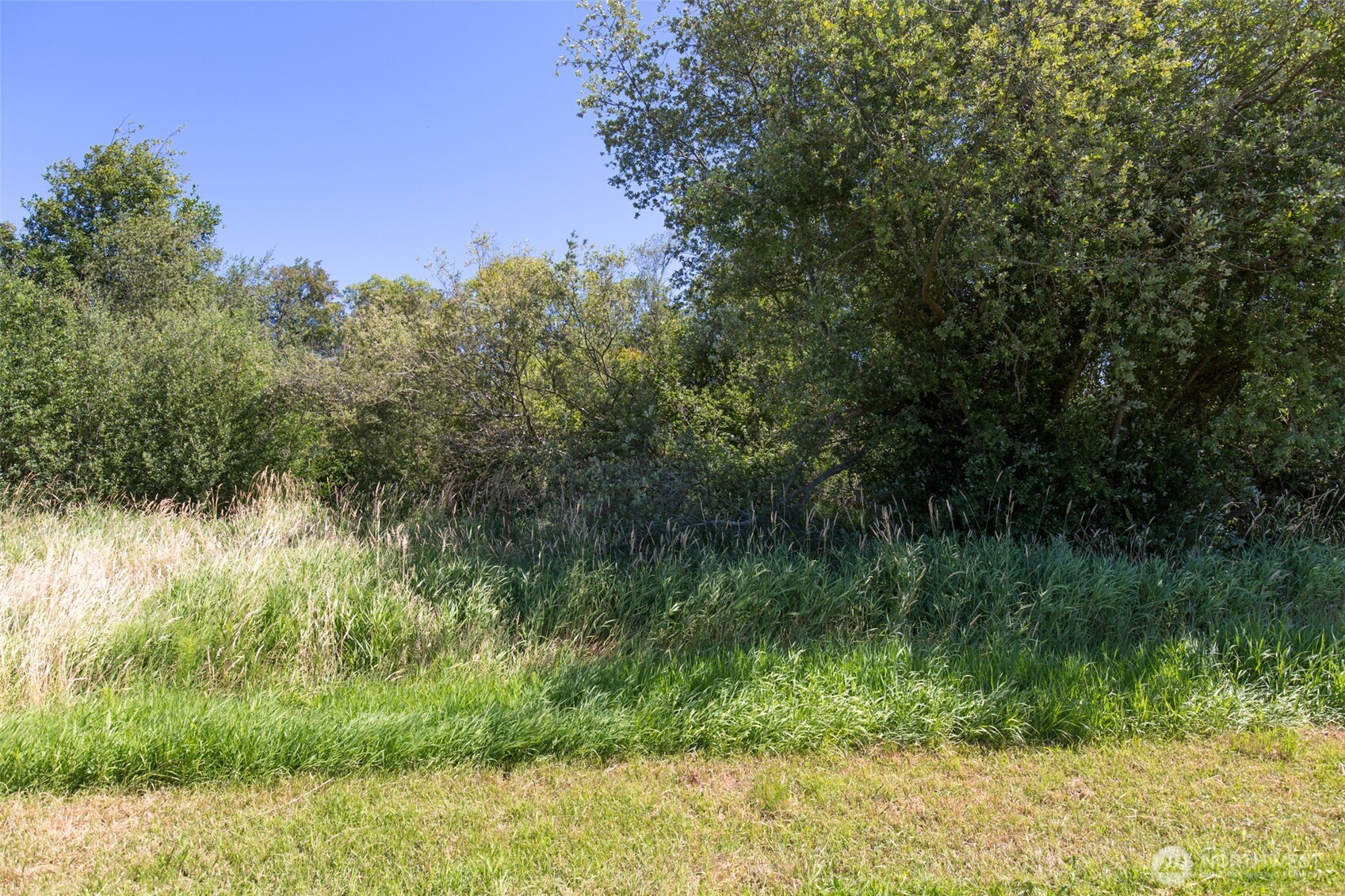 0 Buttercup Lane , Sequim, WA 98382