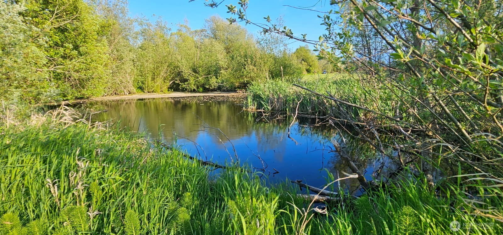 0 Buttercup Lane , Sequim, WA 98382