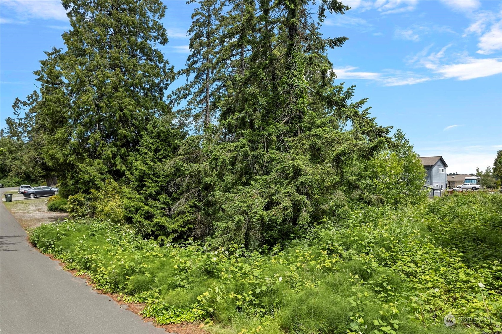 8142 Comox Loop , Blaine, WA 98230