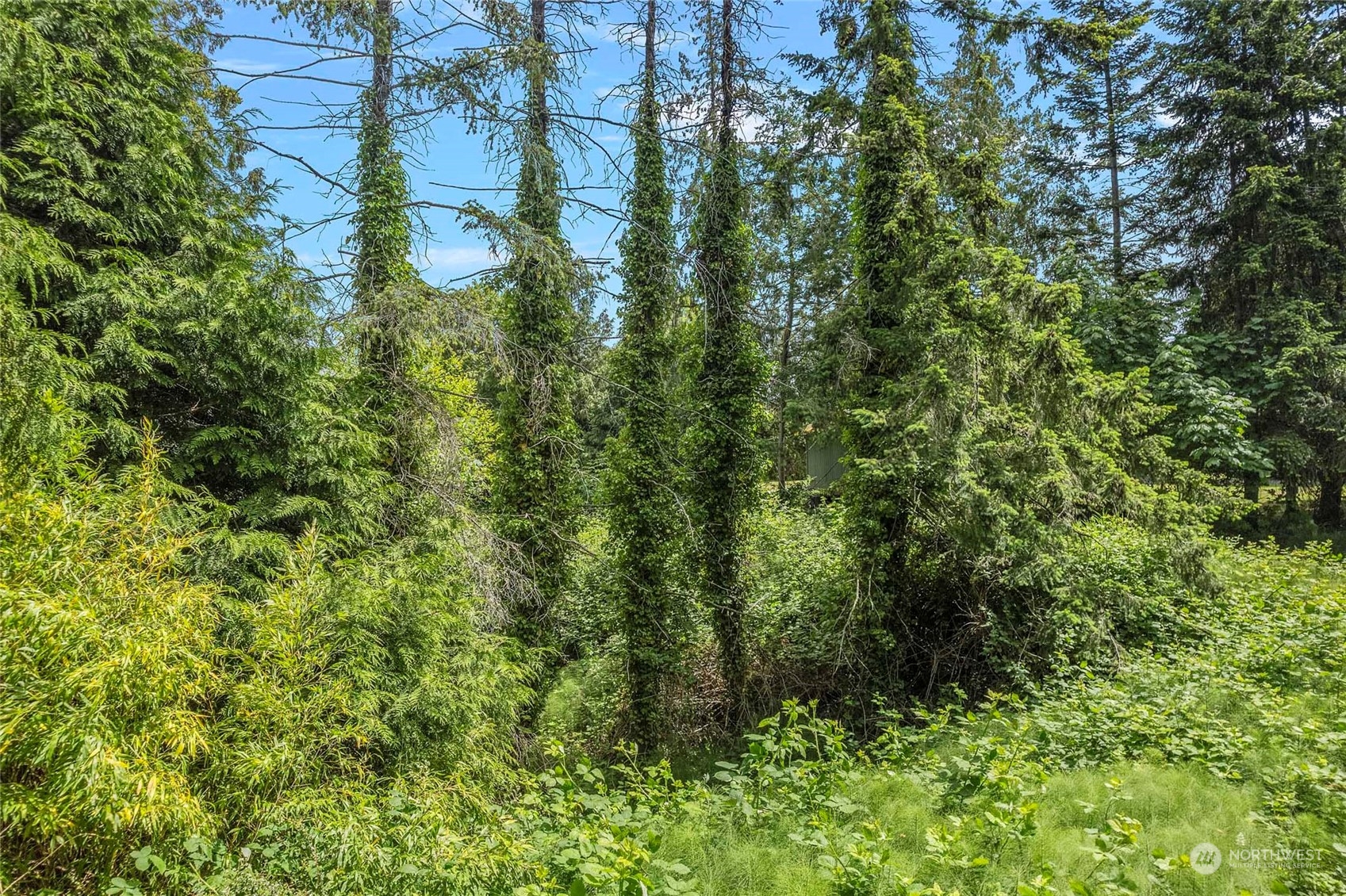 8142 Comox Loop , Blaine, WA 98230