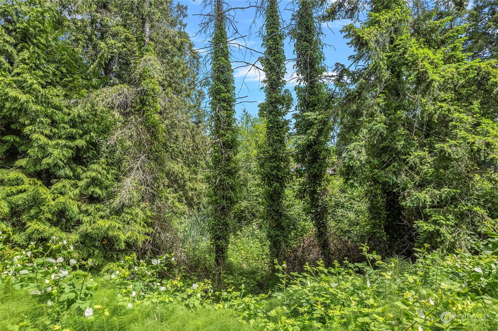 8142 Comox Loop , Blaine, WA 98230