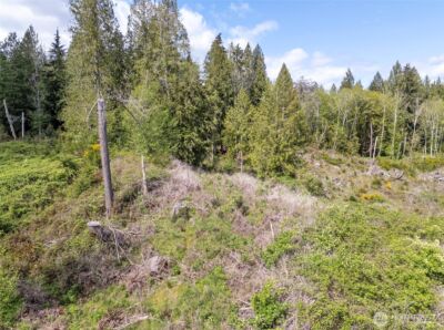 18307 Herron Road NW, Lakebay, WA 98349 - Photo 24