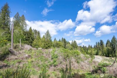 18307 Herron Road NW, Lakebay, WA 98349 - Photo 4