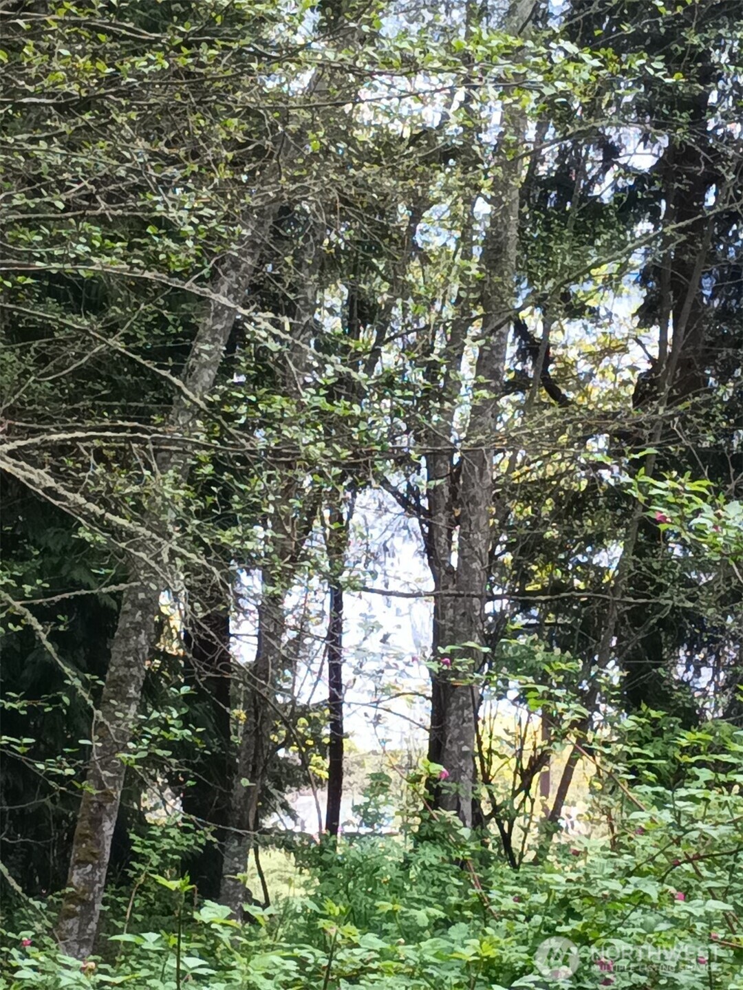 16 M Olympic Drive , Hat Island, WA 98206