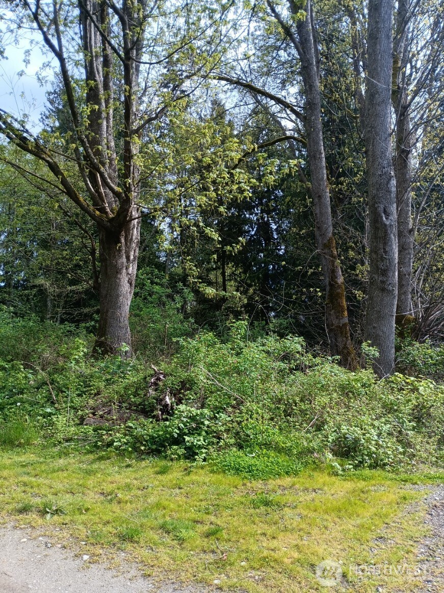 16 M Olympic Drive , Hat Island, WA 98206