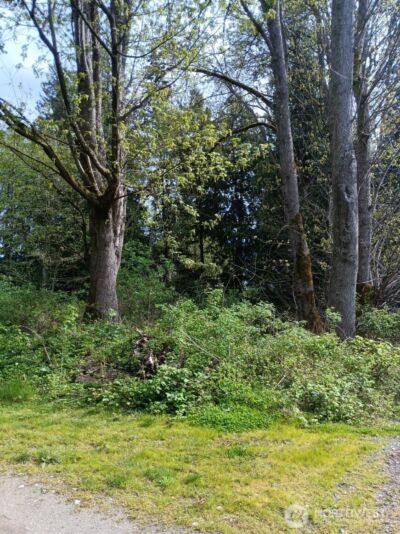 16 M Olympic Drive , Hat Island, WA 98206 - Photo 3