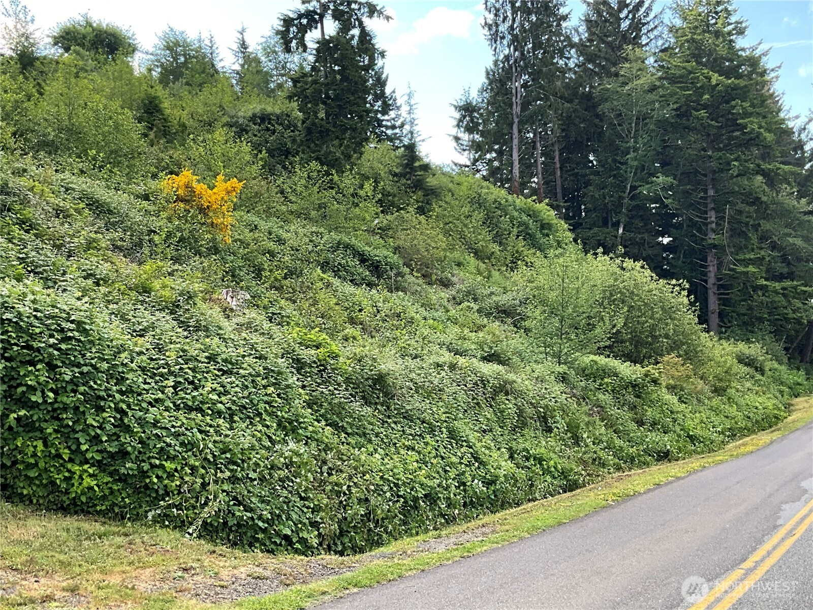 0 Grays Harbor Boulevard , Hoquiam, WA 98550